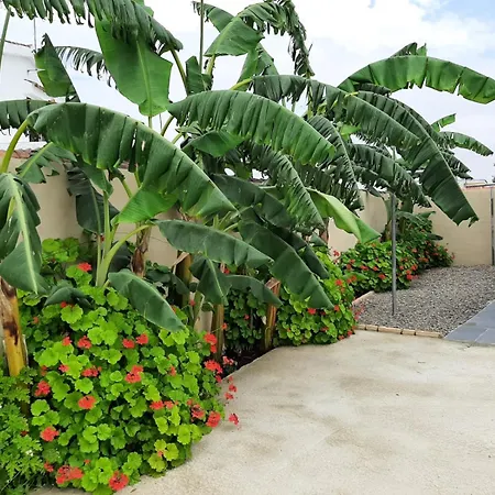 Casa Rural La Colada Apartment